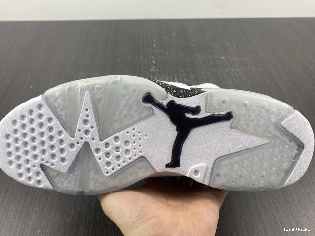384664-101 Retro Jordan 6 Oreo 0817